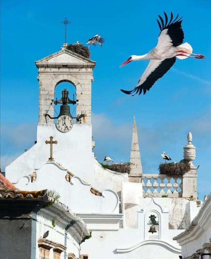 Accommodatie bij particulieren Black Hill Faro